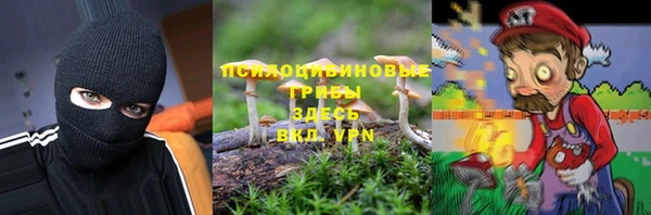 таблы Алексин